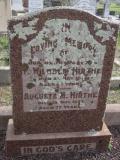 image of grave number 233884